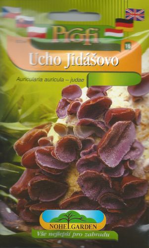 Z - Ucho judasovo